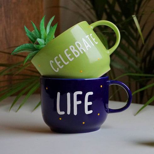 Celebrate Life - Cup Planters - Mug Planters - Wall Garden Decor -  Garden Decor - Succulent Planter - Small Pot - Home Office Accessories - Study Room Decor - Personalised Gifts - Buy Online India - Free Shipping